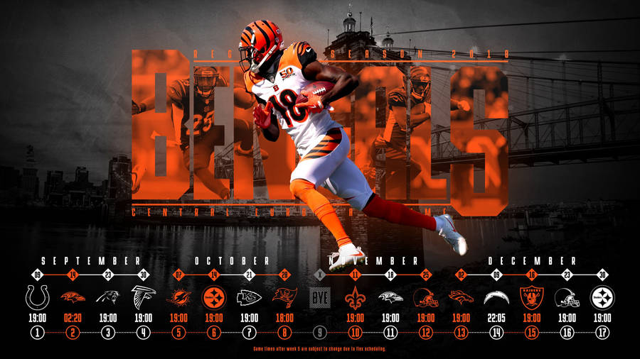 Cincinnati Bengals American Football Franchise Wallpaper