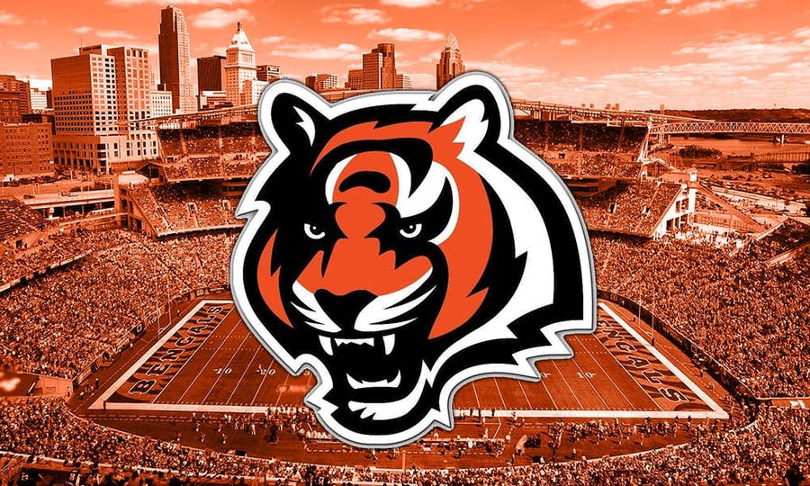 Cincinnati Bengals Football Stadium Wallpaper