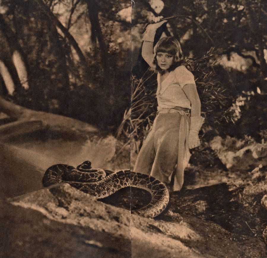 Clara Bow Enthralling With A Giant Snake Wallpaper