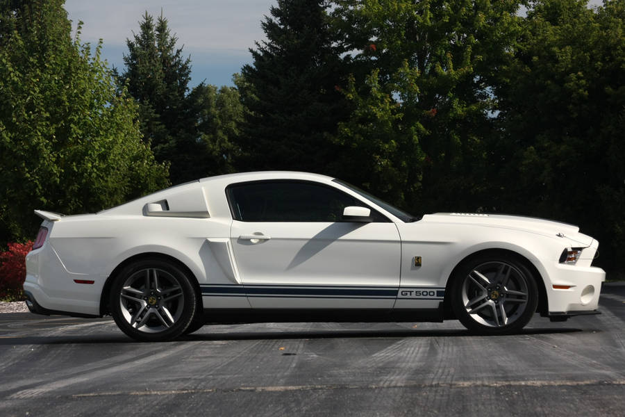 Clean White Shelby Iphone Wallpaper