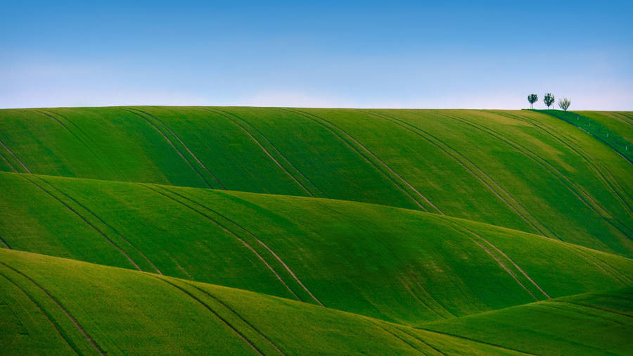 Clear Green Hillside Wallpaper