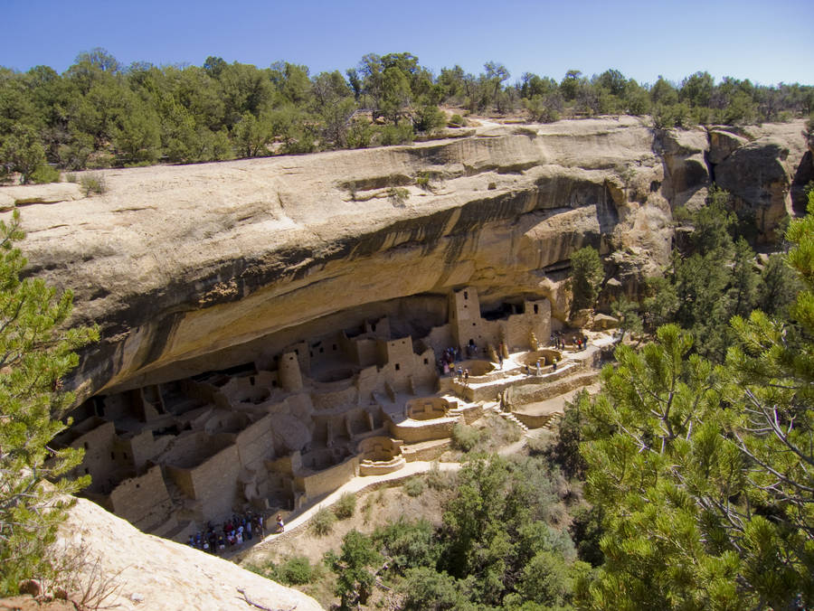 Cliff Palace Colorado Photography Wallpaper