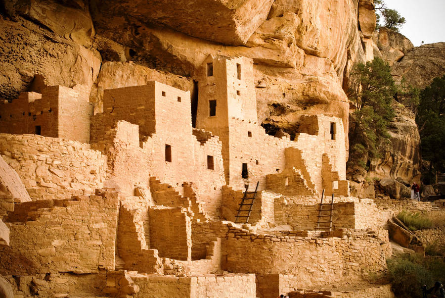 Cliff Palace Mesa Verde Colorado Wallpaper