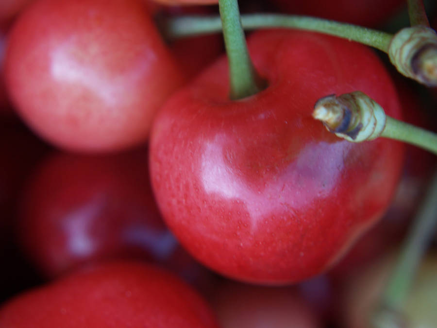 Close Up Amarena Cherries Wallpaper