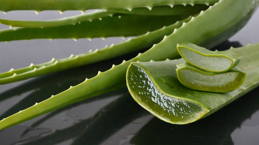 Close-up Look At Aloe Vera Leaf Wallpaper