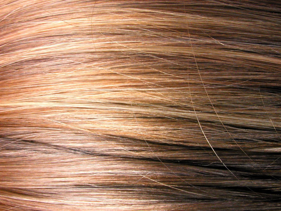 Closeup Of Shiny Brown Hair Strands Wallpaper