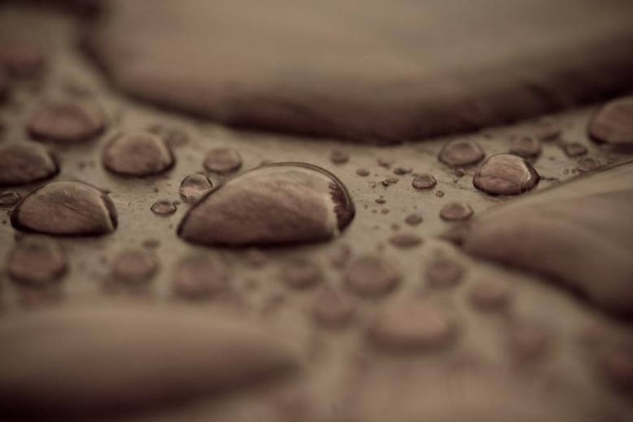 Closeup Of Water Droplets On Wood Wallpaper