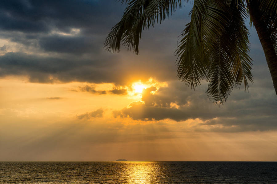 Cloud Background Tropical Sunset Wallpaper