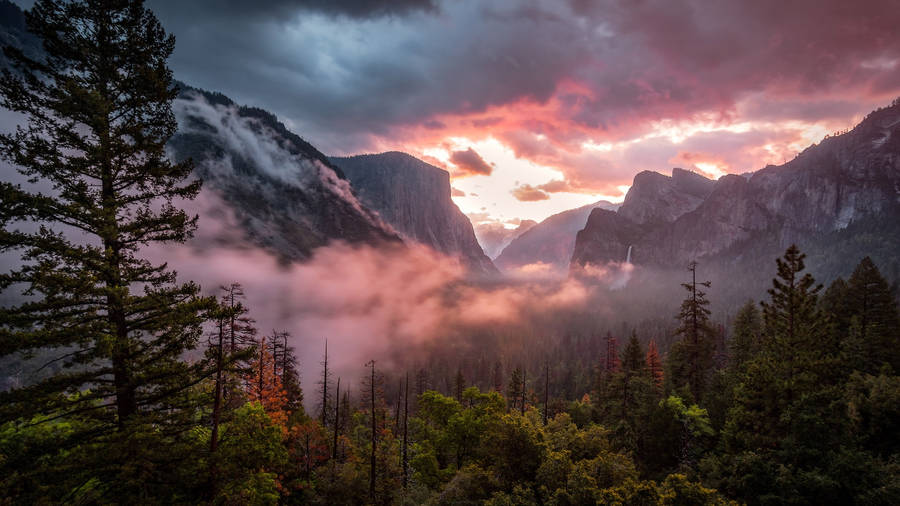 Cloudy Mountain And Forest Professional Desktop Wallpaper