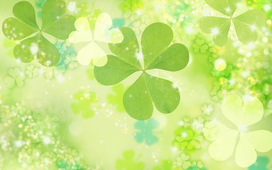 Clover Leaves Plain Green Wallpaper