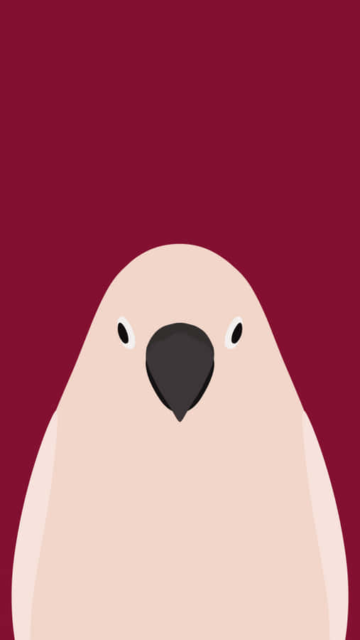 Cockatoo Portrait Simple Illustration Wallpaper