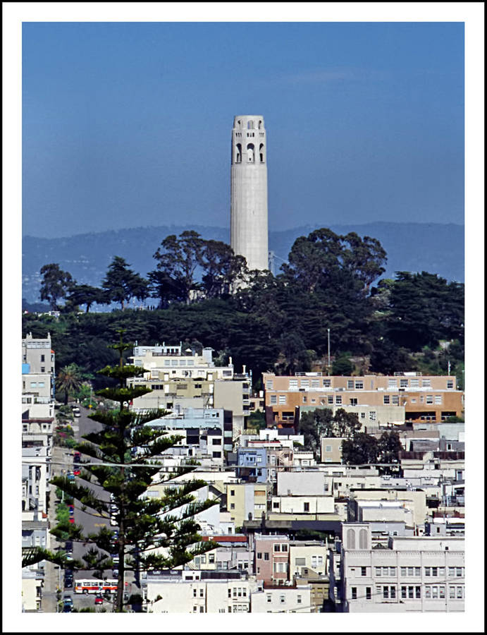 Coit Tower Postcard Wallpaper