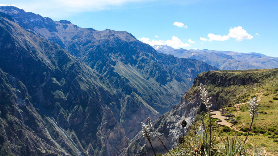 Colca Canyon Peru Wallpaper