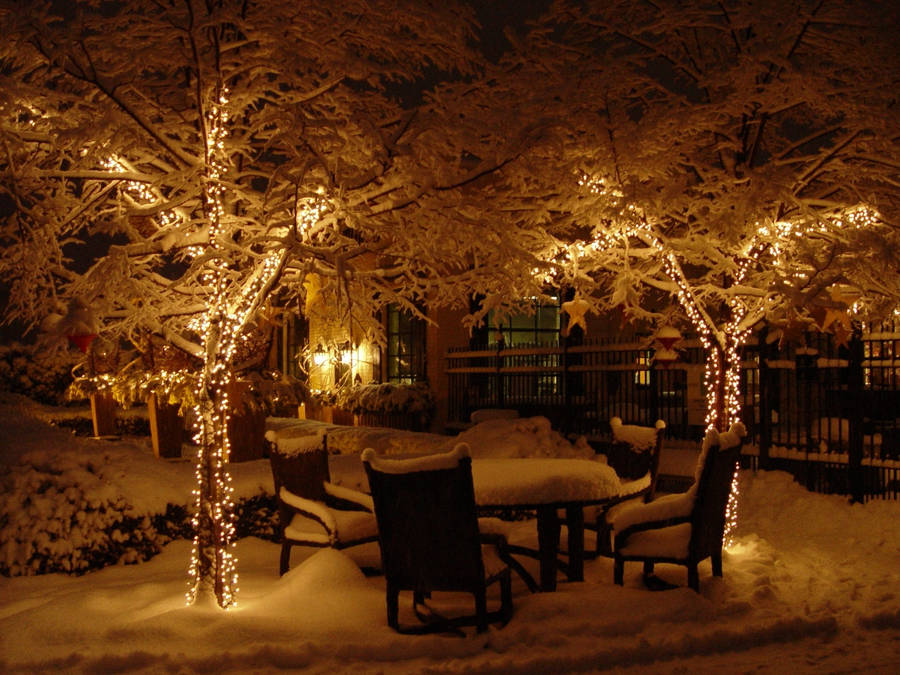 Cold Backyard Christmas Lights Wallpaper