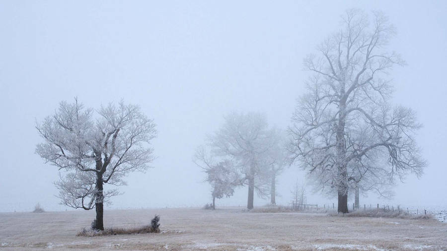 Cold Minnesota Winter Wallpaper