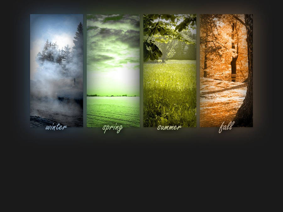 Collage-styled Seasons Wallpaper