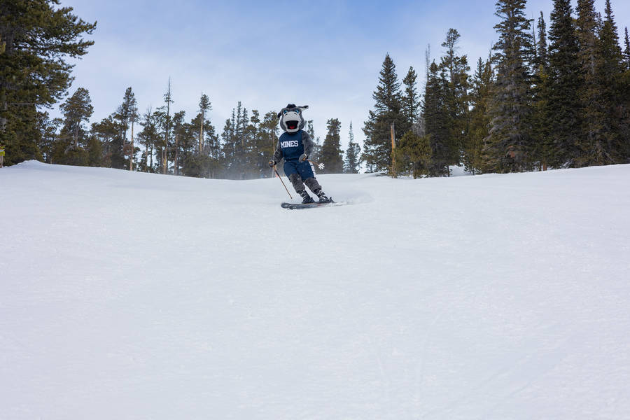 Colorado School Of Mines Blaster Skiing Wallpaper