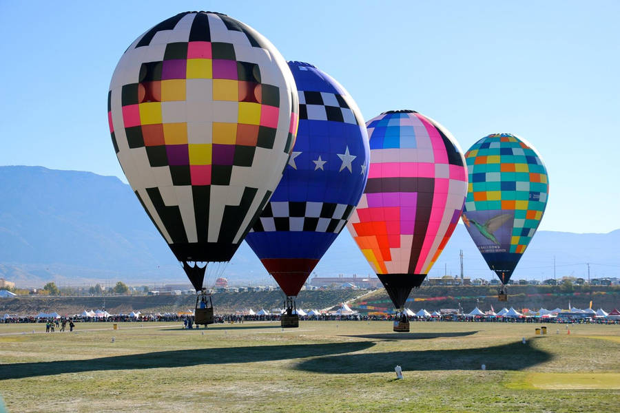 Colorful Balloons Lined Up Albuquerque Wallpaper