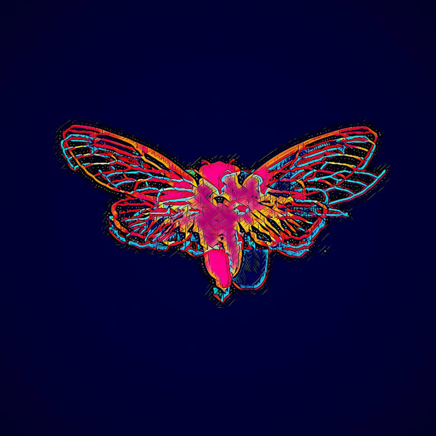 Colorful Cicada Art Wallpaper