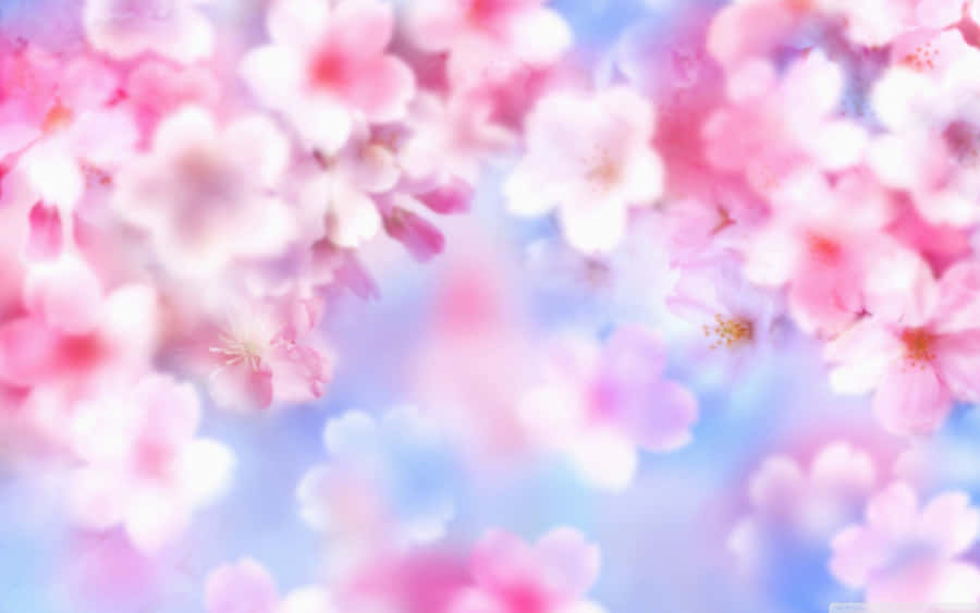 Colorful Neon Pink Pattern Wallpaper