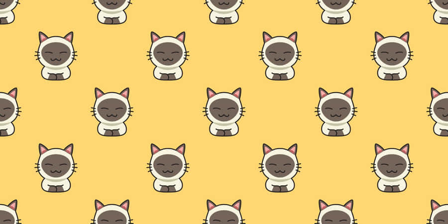 Colorful Whiskers And Tails Wallpaper