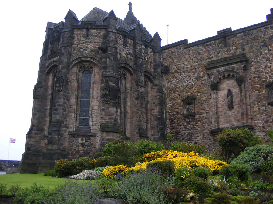 Common Gorse At Edinburgh Castle Wallpaper