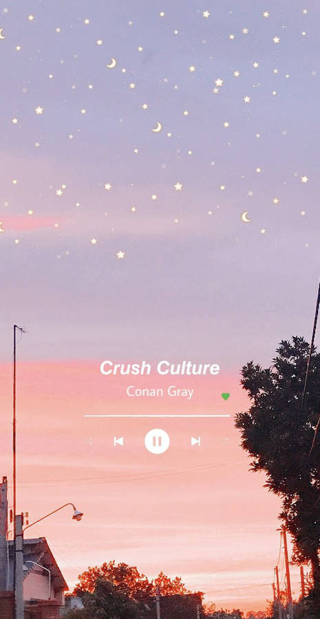 Conan Gray Music Aesthetic Wallpaper