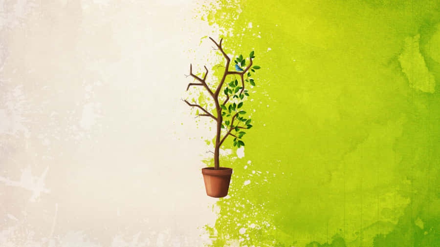 Contrasting Minimalist Plant Desktop Wallpaper