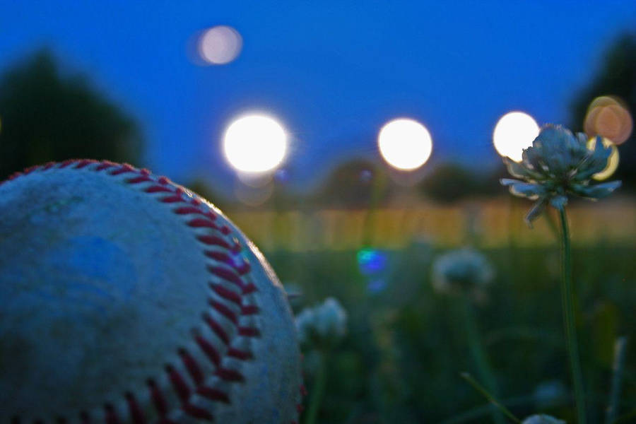 Cool Baseball On The Grass Wallpaper