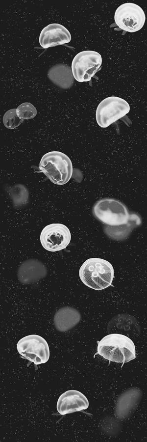 Cool Black Aesthetic Jellyfish Wallpaper