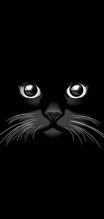 Cool Black Cat Wallpaper