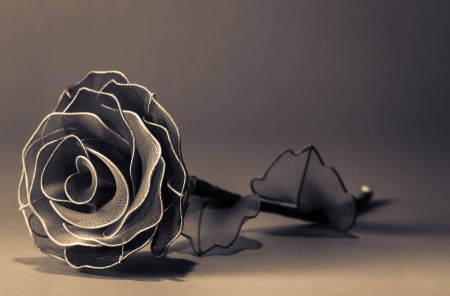 Cool Black Rose Wallpaper