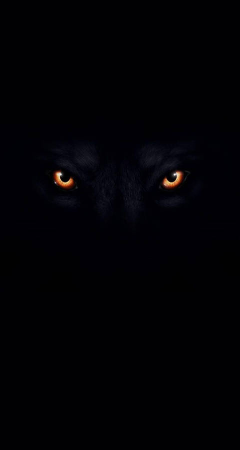 Cool Black Wolf Eyes Wallpaper