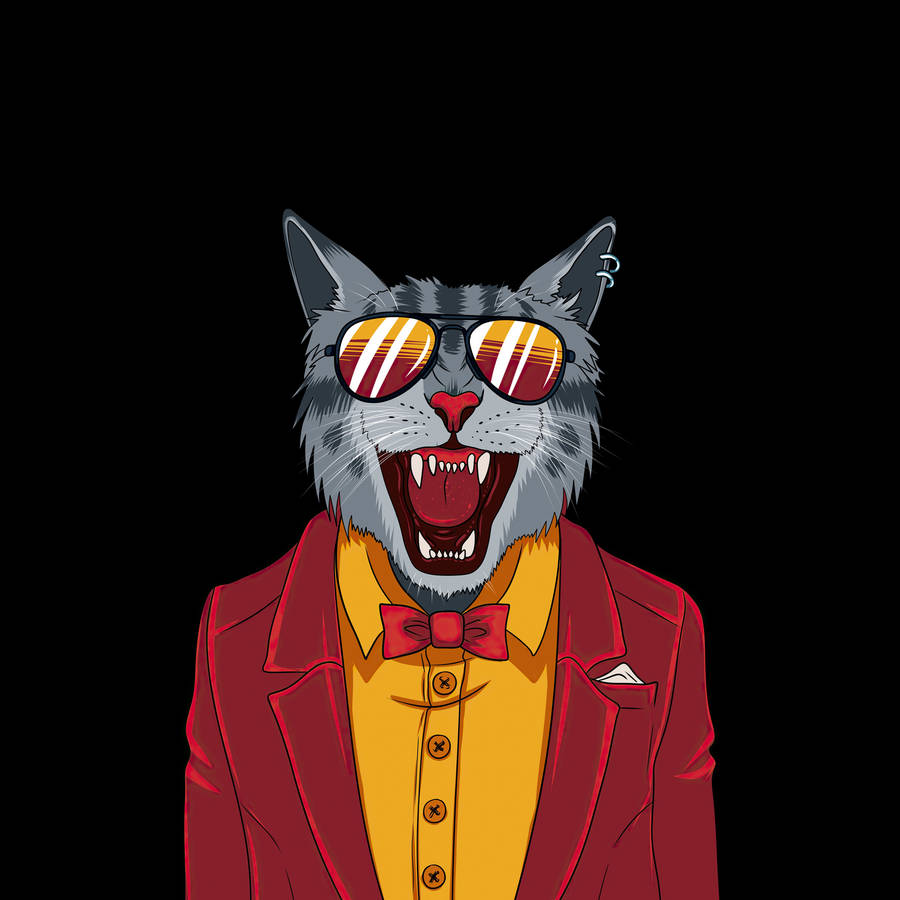 Cool Cat Digital Art Wallpaper