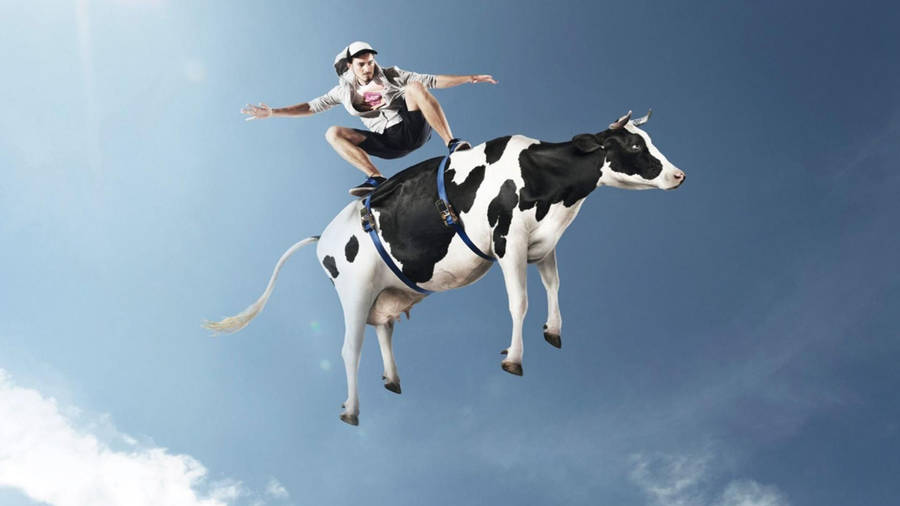 Cool Funny Skater And Cow Wallpaper