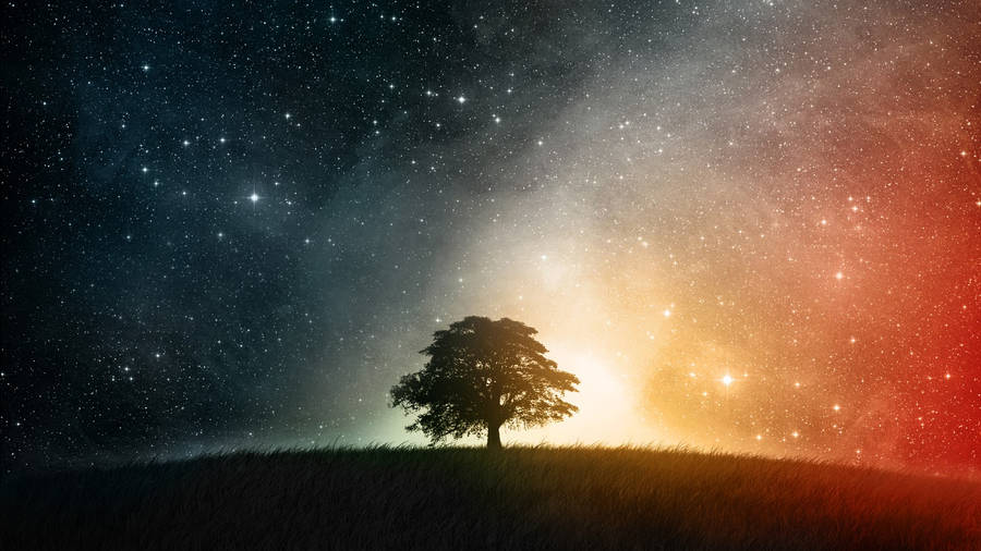 Cool Galaxy Lone Tree Wallpaper