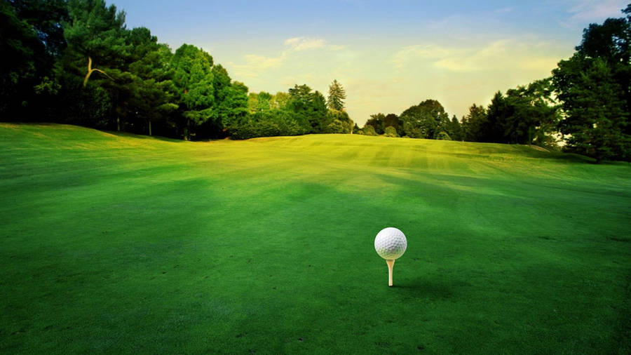 Cool Golf Green Course With Tee Wallpaper