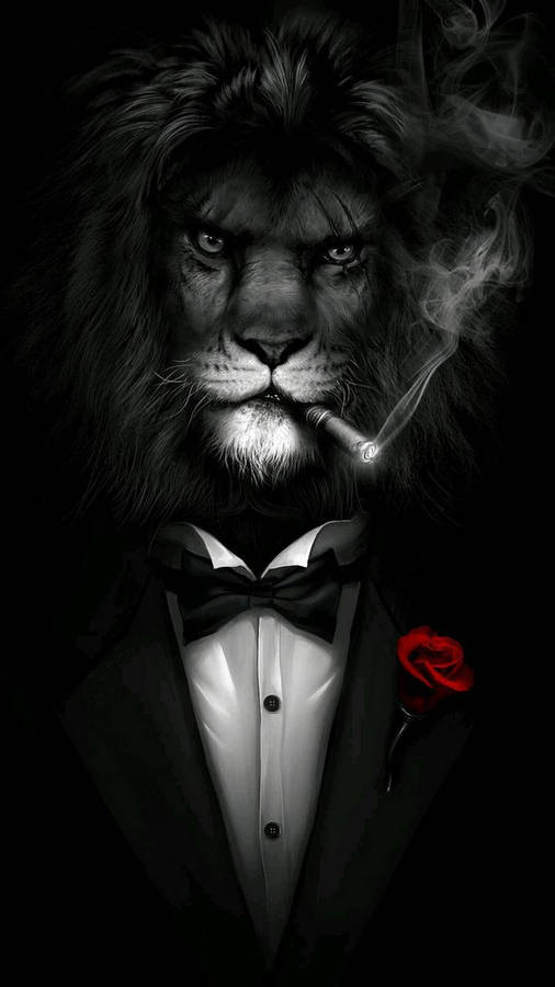 Cool Lion Black White Tuxedo Wallpaper