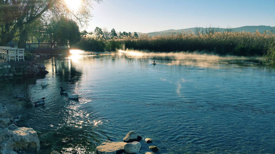 Cool Morning Along The Riverside Wallpaper