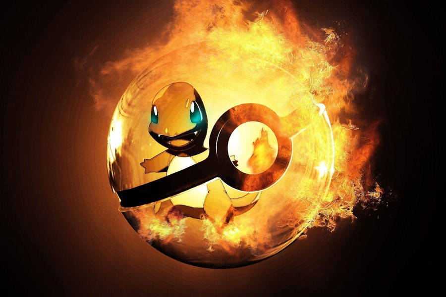 Cool Pokemon Charmander Pokeball Wallpaper