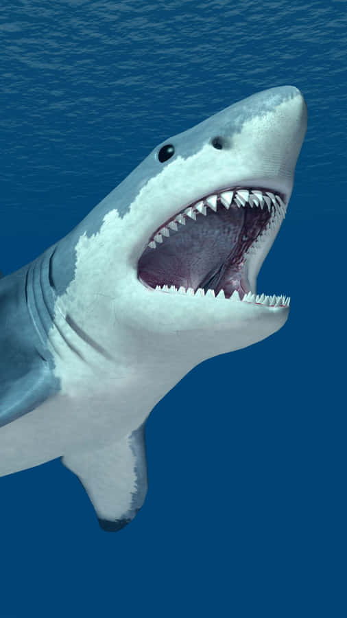 Cool Shark: The Coolest And Most Exciting Sea Resident Wallpaper