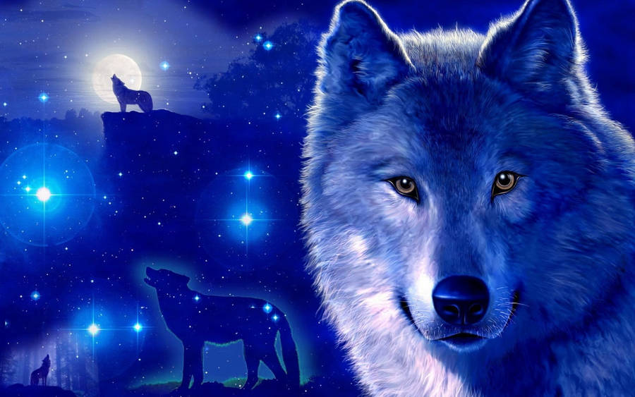 Cool Sparkly Blue Night Galaxy Wolf Wallpaper