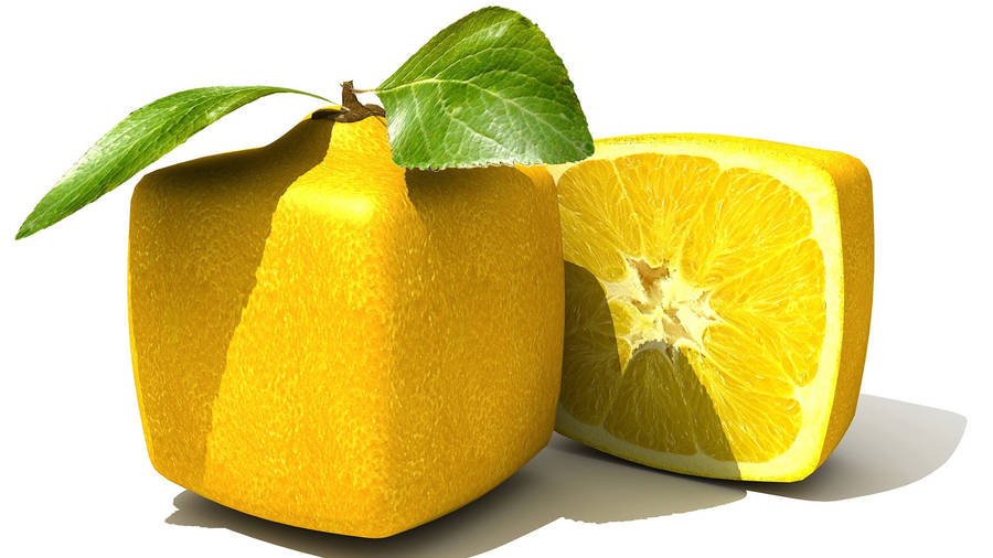 Cool Square Lemon Wallpaper