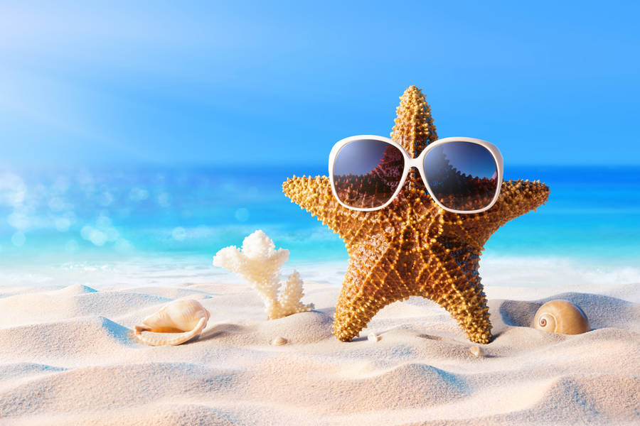 Cool Starfish Beach Theme Wallpaper