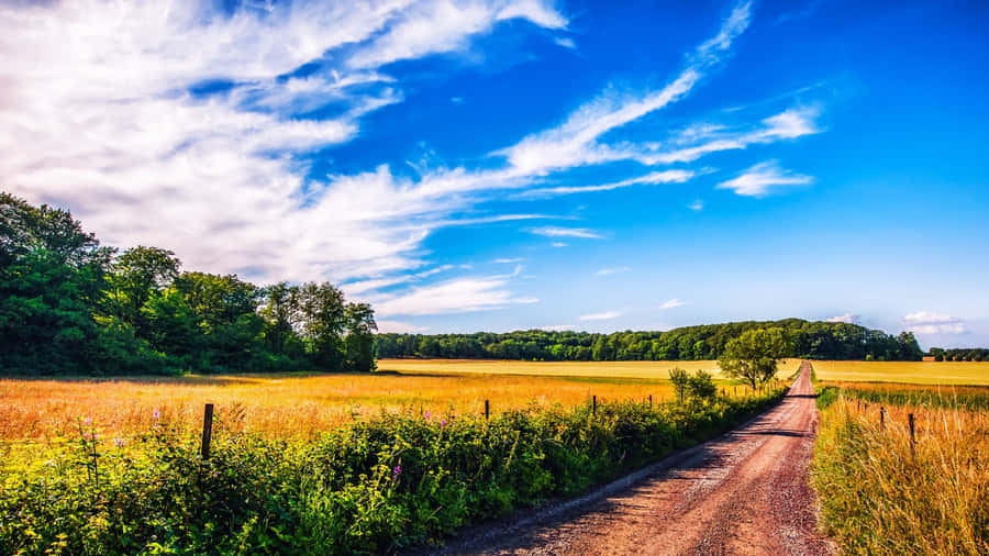 Cool Summer In The Countryside Wallpaper