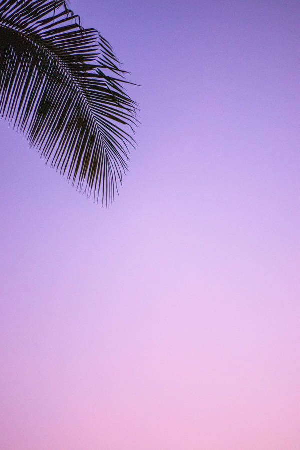 Coolest Iphone Gradient Purple Wallpaper