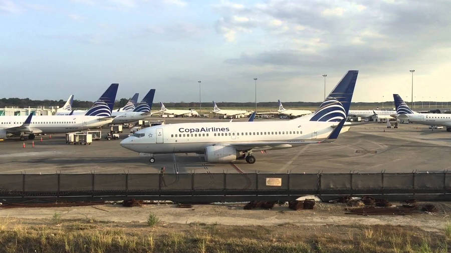 Copa Airlines Planes On Airport Wallpaper