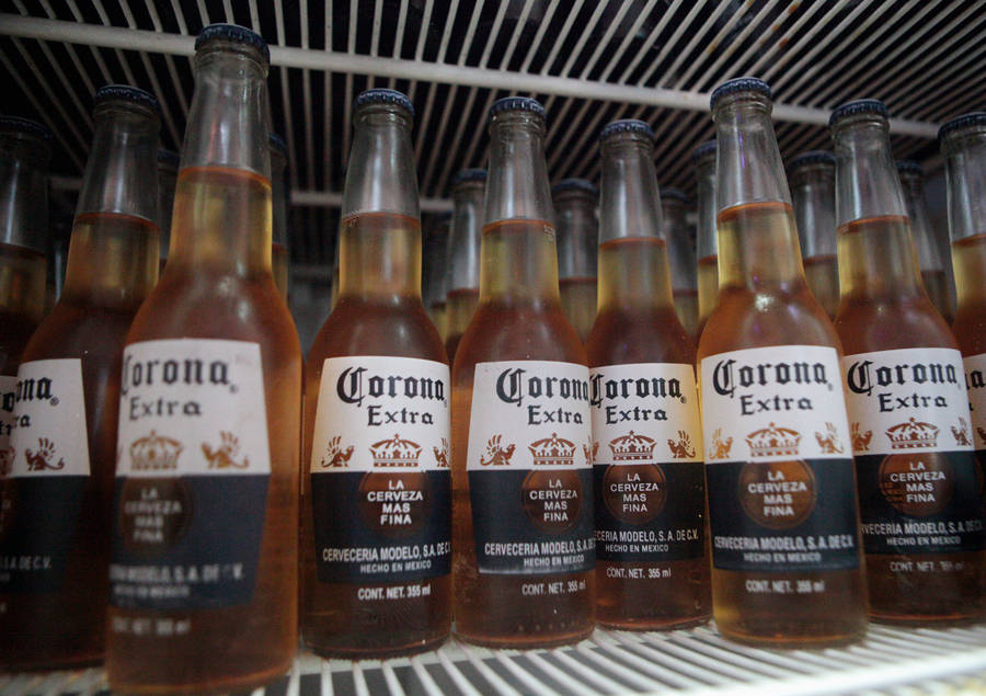 Corona Extra Mexican Beer Wallpaper