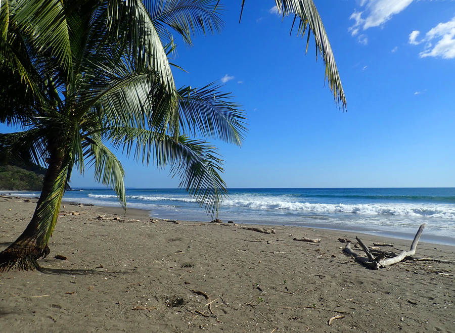 Costa Rica Matapalo Shore Wallpaper