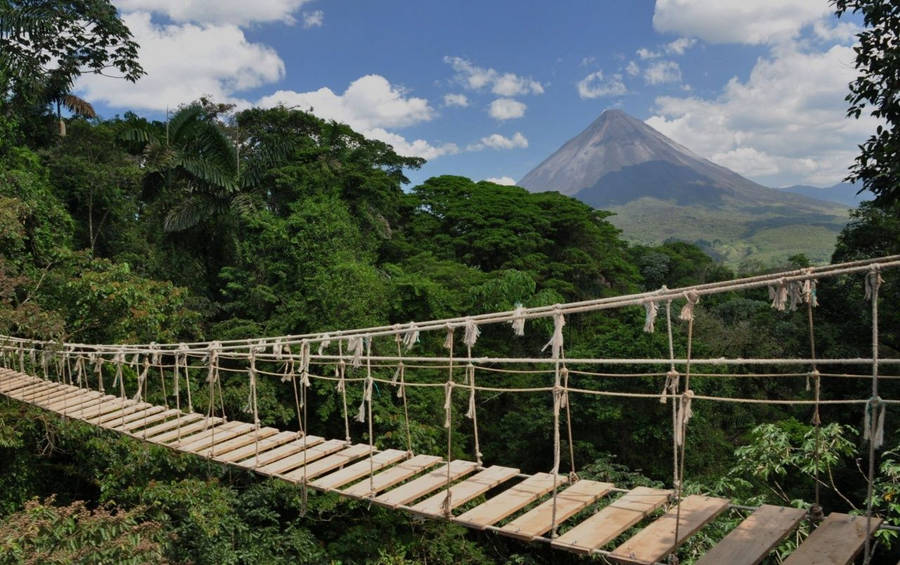 Costa Rica Rope Bridge Wallpaper